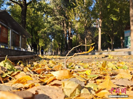 �S��54·��܉�܇�ؾ��h(hu��n)��������������߅�L(f��ng)ò������(j��)�����S���~䁝M·�������� ���z