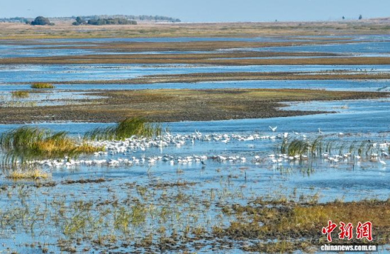 10��16��������ĪĪ����Ҽ���Ȼ���o(h��)�^(q��)��(n��i)�������ڑ�ˮ��(�o�˙C(j��)��Ƭ)�w��� �z