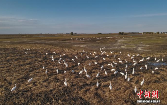 10��16�����ڼ���ĪĪ����Ҽ���Ȼ���o(h��)�^(q��)��(n��i)���Q����Ϣ��(�o�˙C(j��)��Ƭ)�w��� �z