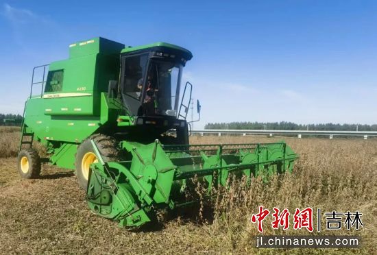 �R����/���D