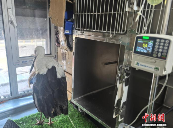 �܂��Ė|�����X���ڽ���ݔҺ�ί�����ʯ���� �z