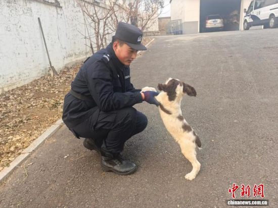 ���Ҳ������c�[�����B(y��ng)�H�ܶ�����ʯ���� �z