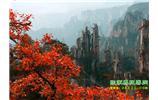 春節(jié)期間：張家界、天子山、金鞭溪自駕車精華精品游