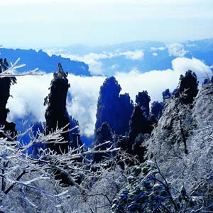 LD線：張家界、天子山、楊家界、猛洞河漂流純玩四日游