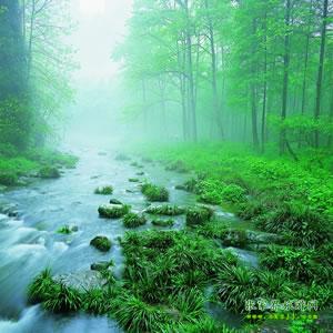 【純玩散拼尊享系列3】張家界、天子山、袁家界、黃龍洞、鳳凰三晚四日游