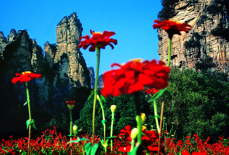LF線：張家界國家森林公園、猛洞河漂流、鳳凰古城純玩自助五日游